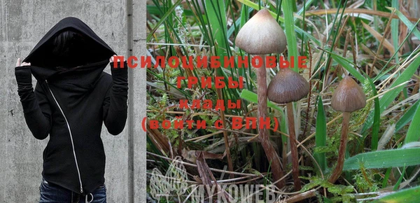 МДПВ Нягань