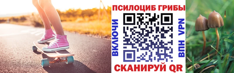 Купить где  Щучье  Псилоцибиновые грибы мухоморы 